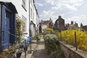 christina robin hoods bay 10 sm.jpg